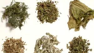 Romanian “Weed Shops” Could Be Outlawed Following An Order By The Health Min