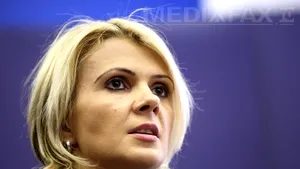 INTERVIU - Boghicevici: Până la sfârşitul lunii aprilie plăţile în cadrul POSDRU ar putea fi reluate