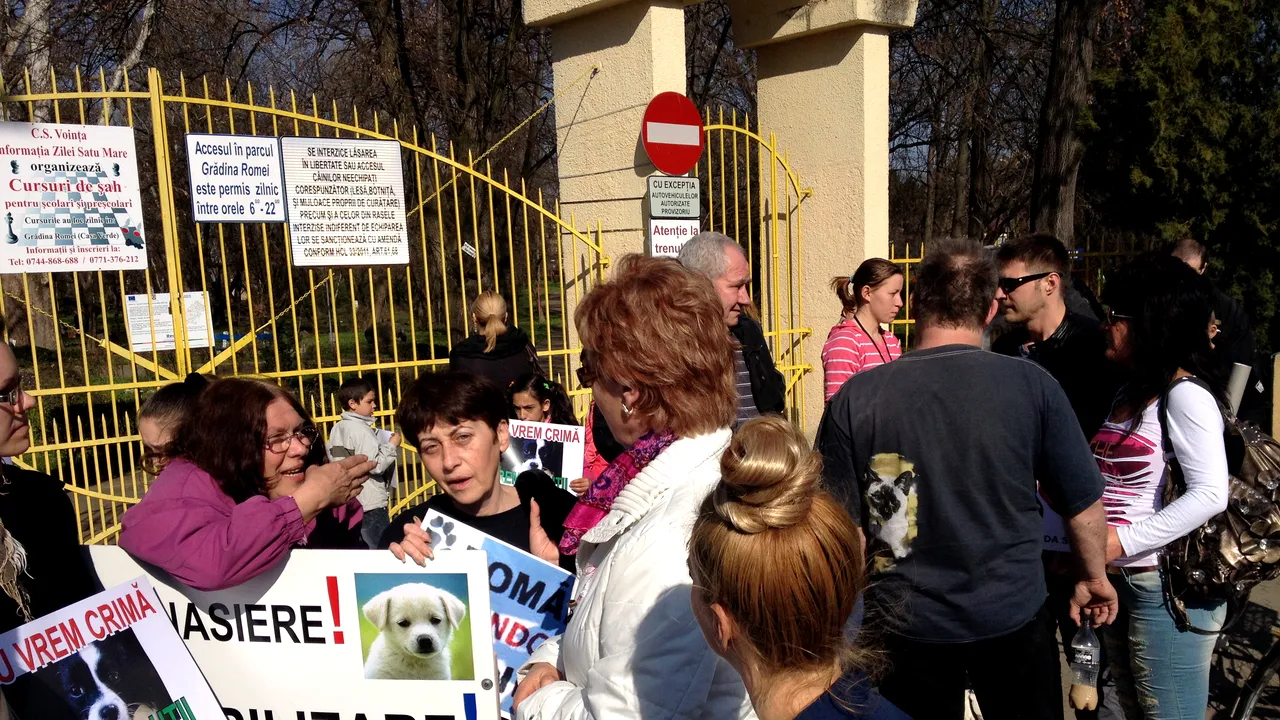 PROTESTE faţă de eutanasierea câinilor organizate în mai multe oraşe din ţară