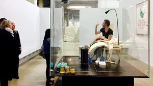 GALERIE FOTO Cum arată primul pui de găină CLOCIT de artistul Abraham Poincheval 