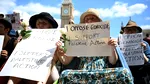 Londra: Polițiștii au arestat peste 200 de participanți la un protest pro-palestinian