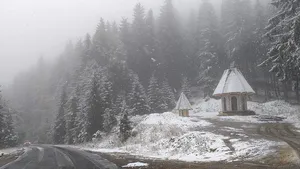 Vreme deosebit de rece în nordul ţării: S-a depus un strat de zăpadă de şase centimetri la munte, în judeţul Neamţ