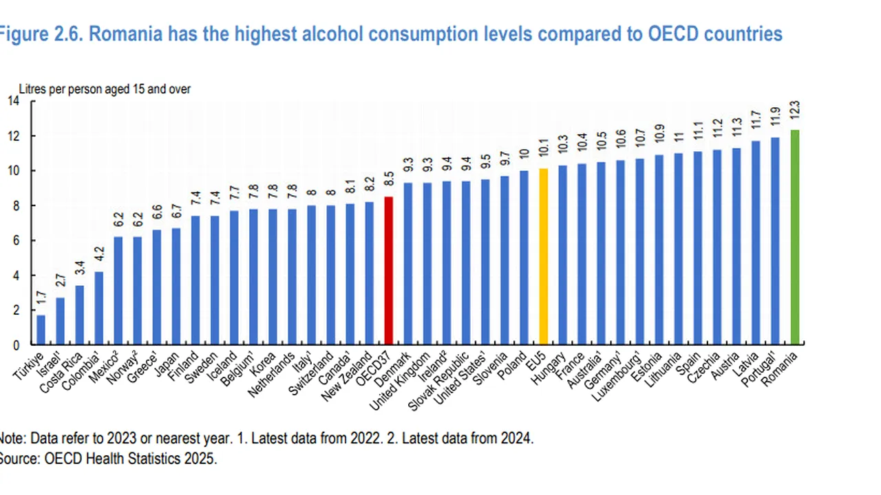 România, țara cu cel mai mare consum de alcool, cu o rată foarte mare a fumatului și a mortalității evitabile / Raport OCDE