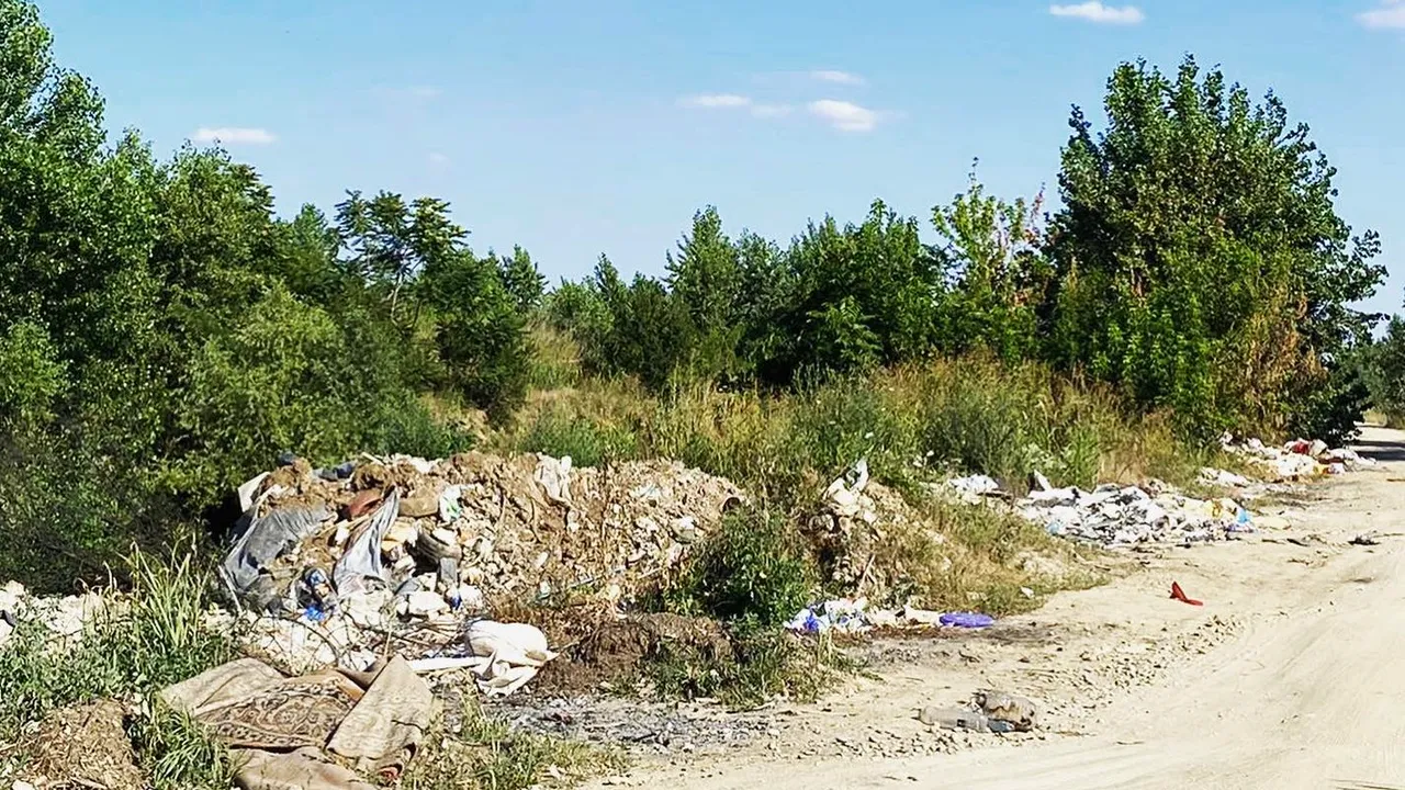 Căutătorii-voluntari de TrashOUT, care sesizează „comorile găsite” printr-o aplicaţie, au o misiune de week-end