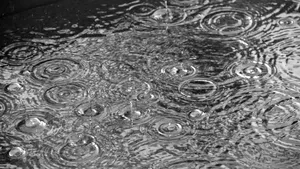 Prefectul Capitalei, despre programul școlilor, în contextul codului roșu de ploi: Analizăm varianta sistemului hibrid pentru zilele cu vreme severă