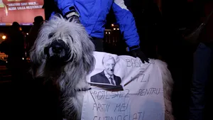 Un căţel poartă pancarte cu mesaje împotriva şefului statului şi a eutanasierii câinilor