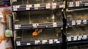 FOTO Şobolani ”savurând” alimente, într-un supermarket din Capitală. ANSVSA a luat măsuri