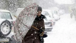 ALERTĂ METEO: Ninsori viscolite, până luni dimineaţa/ COD GALBEN de viscol, prelungit în Constanţa şi Tulcea. Porturile sunt închise