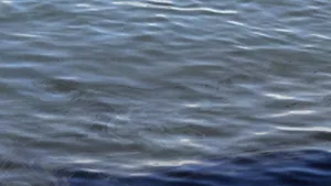 Poluare cu hidrocarburi între Costineşti şi Neptun