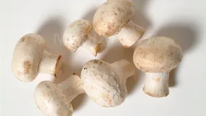 Români reţinuţi în Franţa pentru trafic cu ciuperci