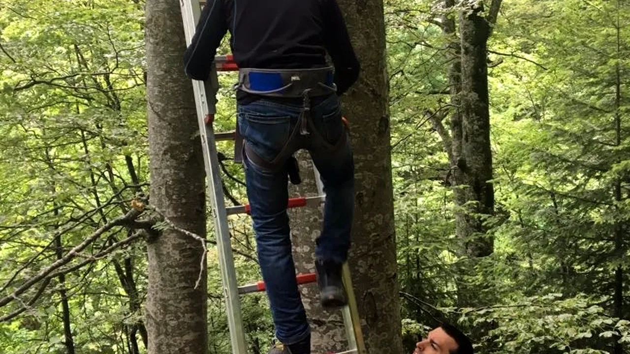 FOTO Un parapantist rus a rămas agăţat într-un copac la Sinaia, la o înălţime de zece metri