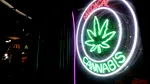 Semnal de alarmă tras de medici asupra prescripțiilor medicale „excesive” de marijuana