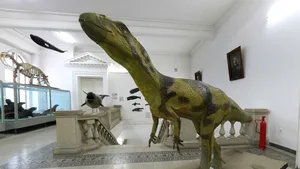 Muzeul Antipa invadează mediul urban, într-o campanie dinaintea redeschiderii