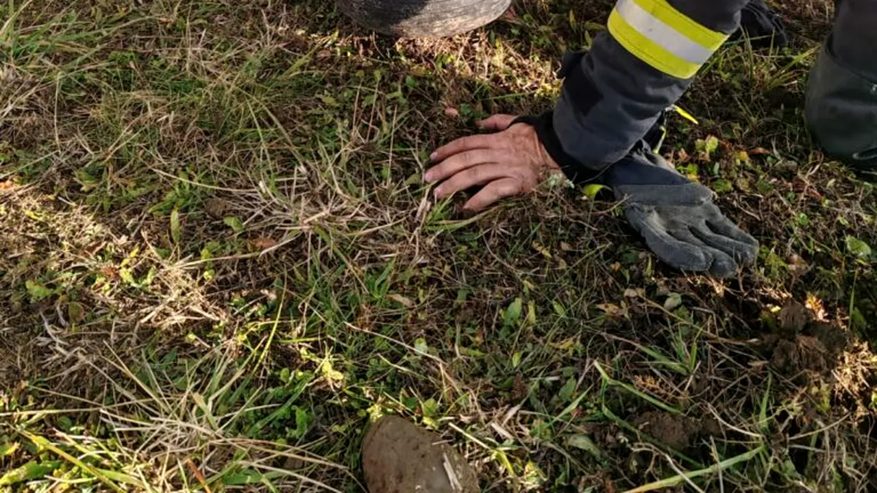 Incident la un aerodrom din Neamț: Un avion ultraușor a aterizat de urgență după o defecțiune