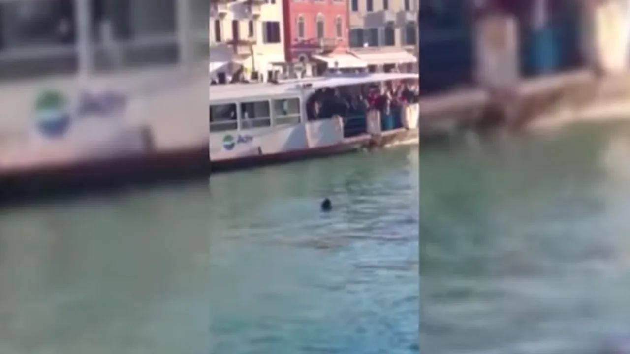 Un refugiat african s-a înecat la Veneţia în timp ce turiştii îl filmau şi făceau remarci rasiste