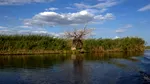 Planul de management pentru Rezervația Biosferei Delta Dunării, pus în dezbatere publică