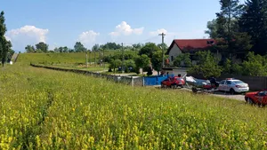 VIDEO Tânăr căutat în râul Jiu, după ce a căzut din barcă. Poliţia cere ajutorul populaţiei