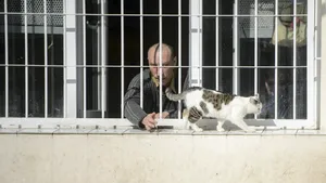 Stand up comedy la Penitenciarul Timişoara: Prin umor, poţi înmuia cele mai dure lovituri ale vieţii