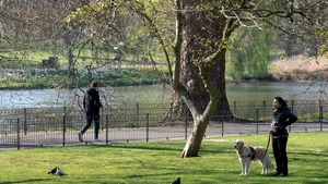 Izolarea nu e un coşmar pentru toată lumea. Europenii care nu vor ca restricţiile să fie ridicate