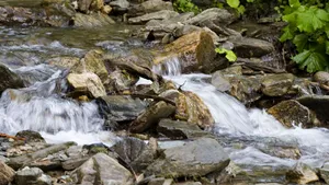 Peste 6.000 de români cer păstrarea directivelor Natura 2000 în forma actuală; ca şi 500.000 europeni