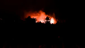 MAE, atenționare pentru românii care călătoresc în Serbia. Incendii de vegetație în mai multe zone