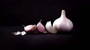 Încep plăţile la Programul Usturoiul. Peste 2.700 de fermieri români îl produc