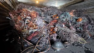 350 de kilograme de obiecte de cult și două clopote masive, confiscate. Garda Națională de Mediu, noi descinderi la Sintești