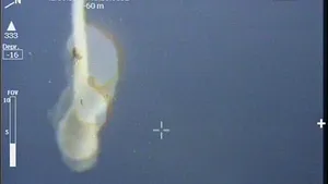 ONU confirmă că Rusia a doborât un avion fără pilot georgian