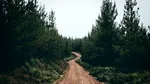 O canadiancă de 60 de ani, salvată după ce a rămas blocată pe un drum forestier din Sibiu