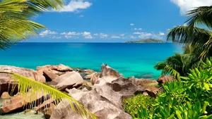 Pe plajă în Kenya dar prezenţi la vot. Premiera, la Consiliul Local Bacău