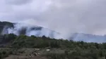 Incendiu de vegetație în Caraș-Severin. Elicopter Black Hawk, trimis să stingă focarele din Slatina-Timiș