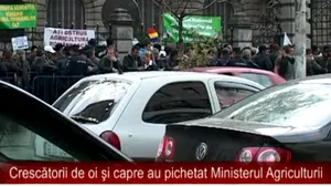 Sute de membri Agrostar pichetează Ministerul Agriculturii