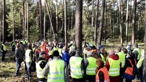 Protestele ecologiştilor împotriva noii fabrici Tesla din Germania. Suprafaţa care ar trebui defrişată