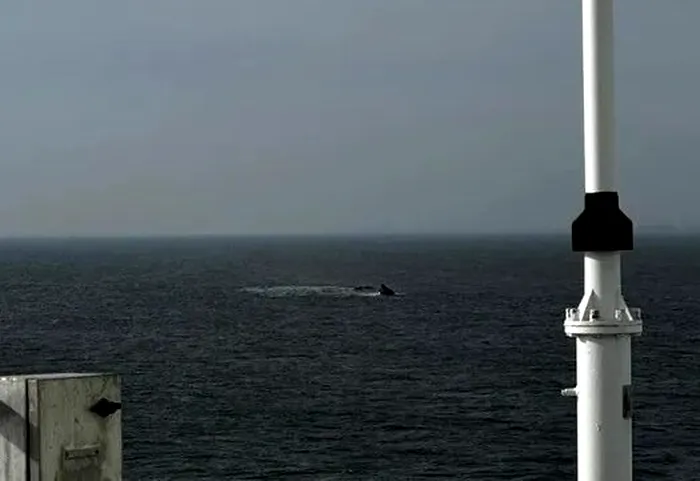 SOCIAL UPDATE O navă s-a scufundat în Portul Midia. O persoană a murit, alte patru sunt căutate de salvatori