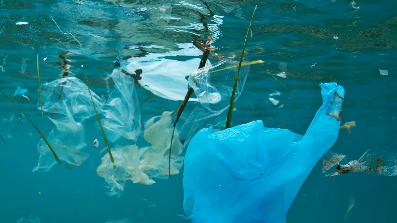 Oamenii de ştiinţă folosesc un computer pentru a recunoaşte materialele plastice care poluează apa