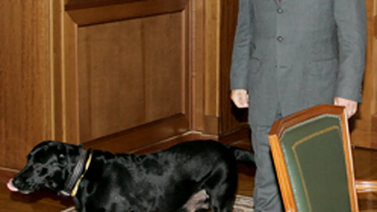 Câinele lui Putin a dat iama în delicatesele pentru musafiri