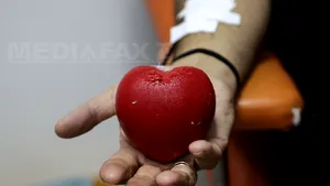 SUTE de oameni au donat sânge la Centrul de Transfuzie Bucureşti, deschis şi duminică. UNDE se mai poate dona sânge şi ce CONDIŢII trebuie îndeplinite