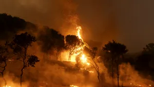 Incendiile de vegetaţie din Europa au distrus anul trecut o suprafaţă de două ori mai mare decât Luxemburgul