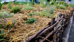 Livada de pe acoperiş. Unul dintre cele mai mari lanţuri de hipermarketuri din România investeşte 300.000 de euro în nouă GRĂDINI URBANE, în Bucureşti