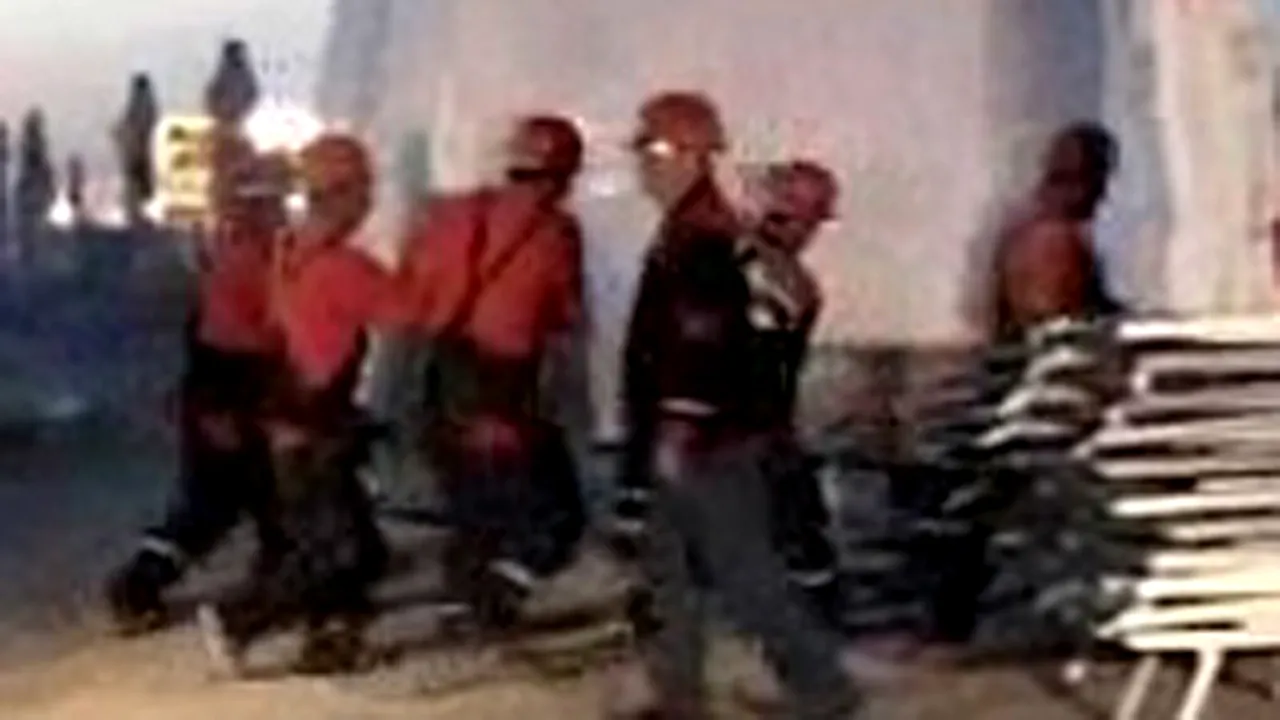 Terasă din Mamaia fără autorizaţie, demolată deşi la mese se aflau turişti (Video)