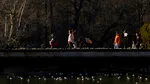 Cum ne afectează lipsa vitaminei D în sezonul rece. Ce probleme de sănătate poate provoca