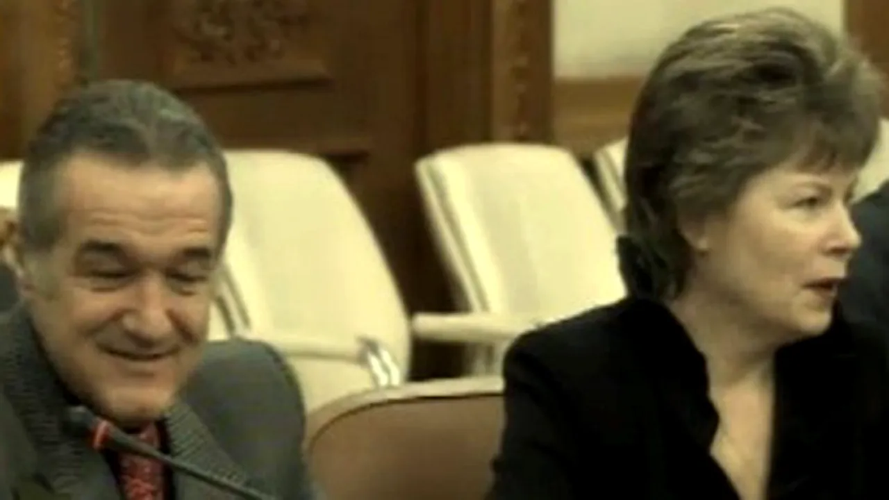 Gigi Becali, lângă Mona Pivniceru la Comisiile juridice ale Parlamentului