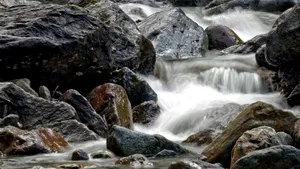 Nereguli grave descoperite de Apele Române. Amenzi de 2,58 milioane lei și 6 dosare penale