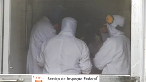 Brazilia sporeşte măsurile împotriva gripei aviare. Cum vor să protejeze autorităţile cea mai mare industrie avicolă din lume