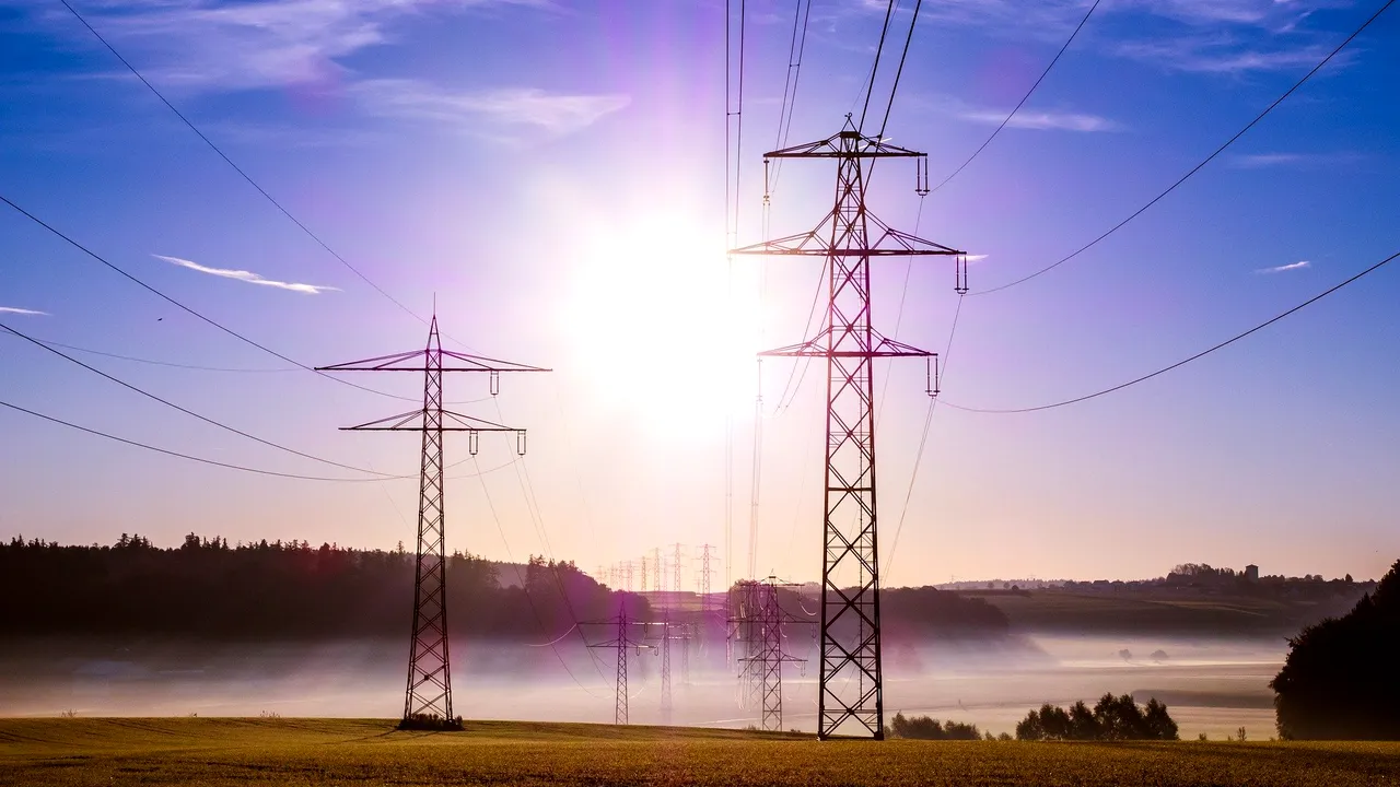 PNL îşi va numi propria conducere la o companie importantă de stat, din decembrie