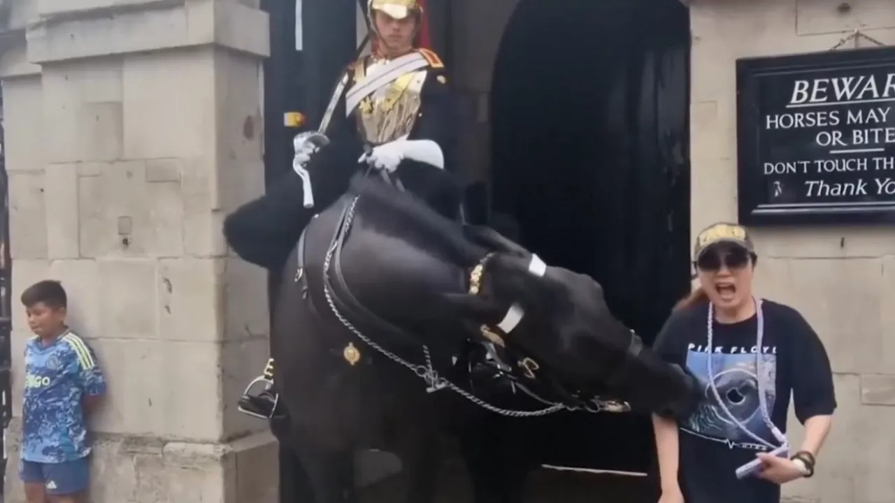 Un cal din garda Regelui Charles al III-lea a muşcat o turistă. Soldaţii pot folosi baionetele

