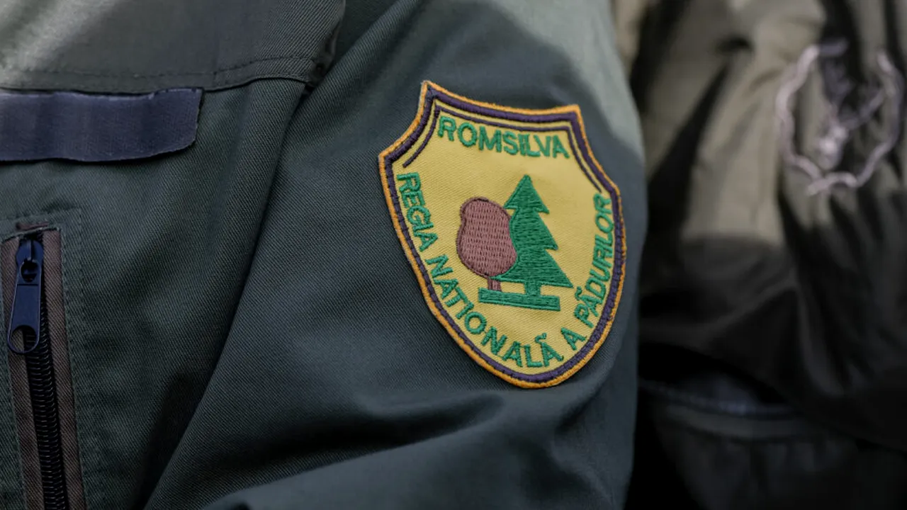 Romsilva economisește 19 milioane lei anual prin reducerea drastică a numărului de directori