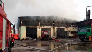 Incendiu puternic la fabrica de paleţi din Târgu Lăpuş | FOTO