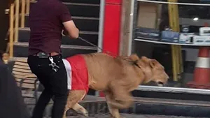 VIDEO | Apariţie neaşteptată la protestele din Bagdad: Un bărbat a adus un leu