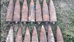 Proiectile, gloanţe şi cartuşe, găsite într-un cimitir din Bârlad/ FOTO